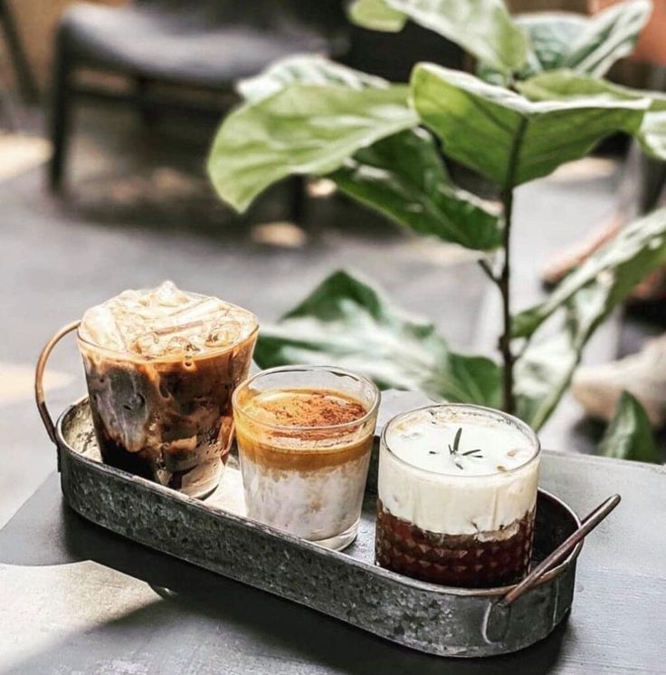 lĩnh vực hoạt động